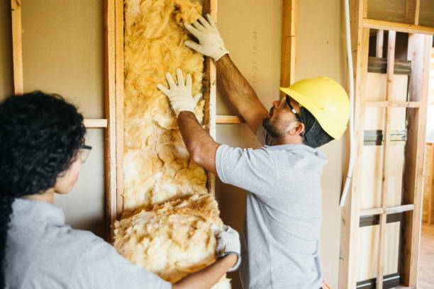 Best Garage Insulation  in Gainesville, FL