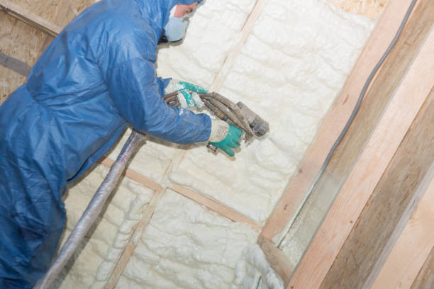 Best Wall Insulation Installation  in Gainesville, FL